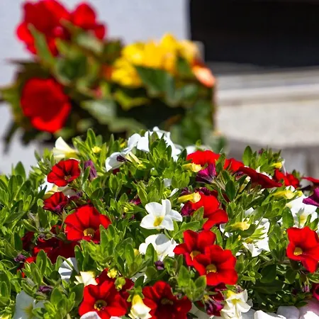 Alloggio in famiglia Akwamaryn