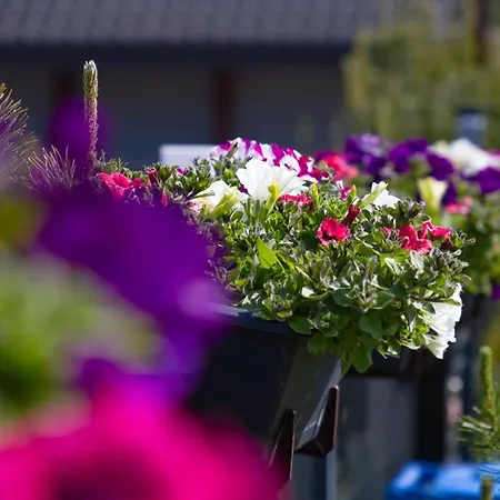 ホームステイ Akwamaryn