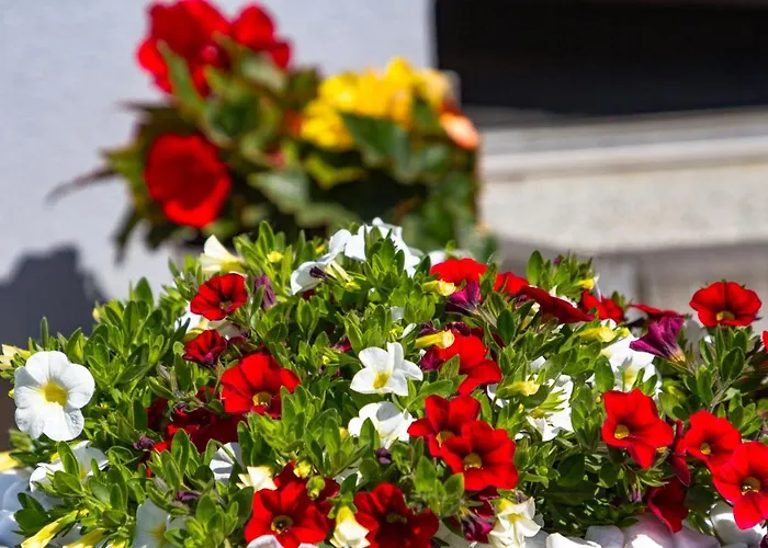 Quarto em Acomodações Particulares Akwamaryn