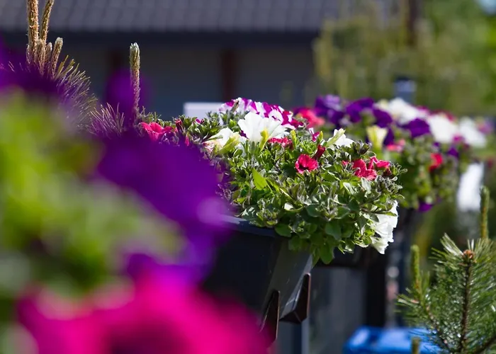 Habitación en casa particular Akwamaryn